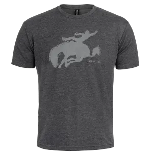BUCKIN' BRONCO