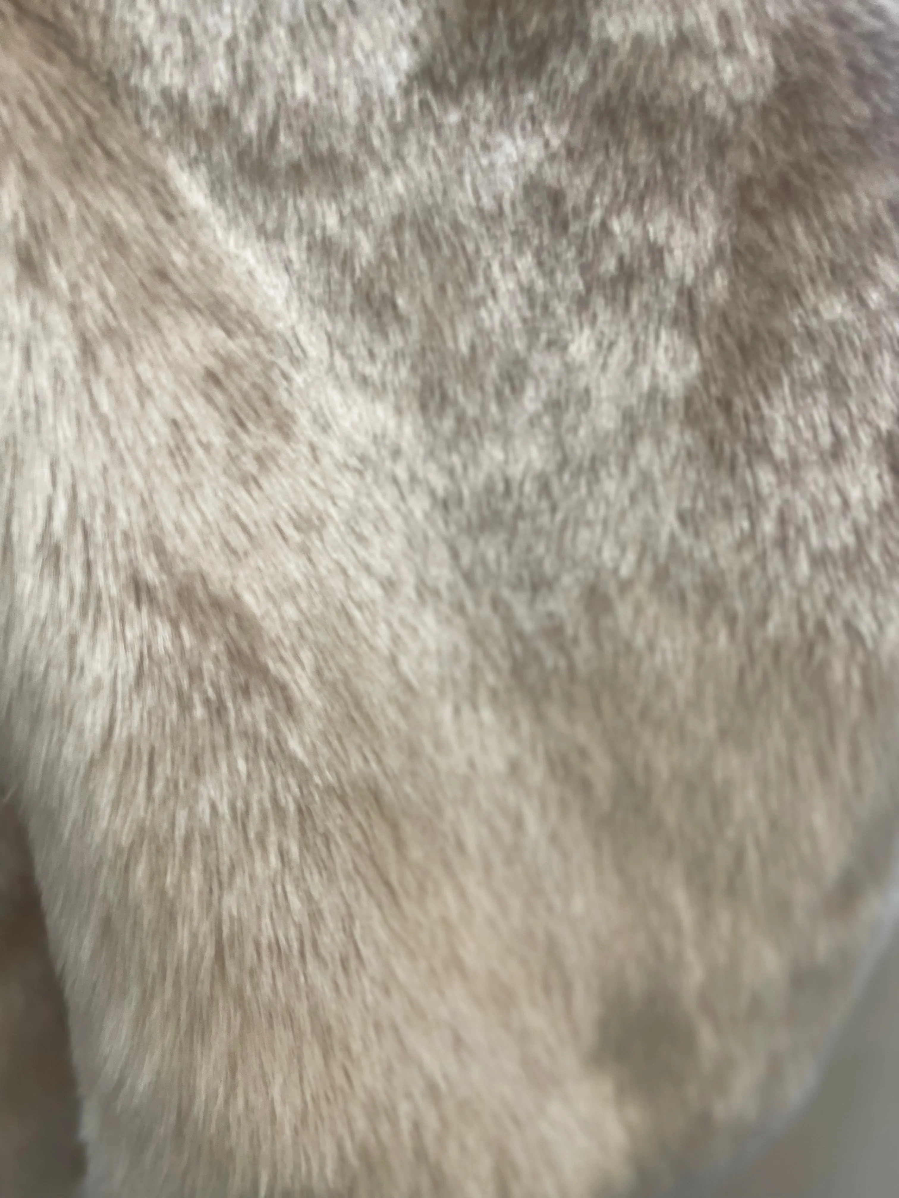 Jolly Faux Fur Jacket