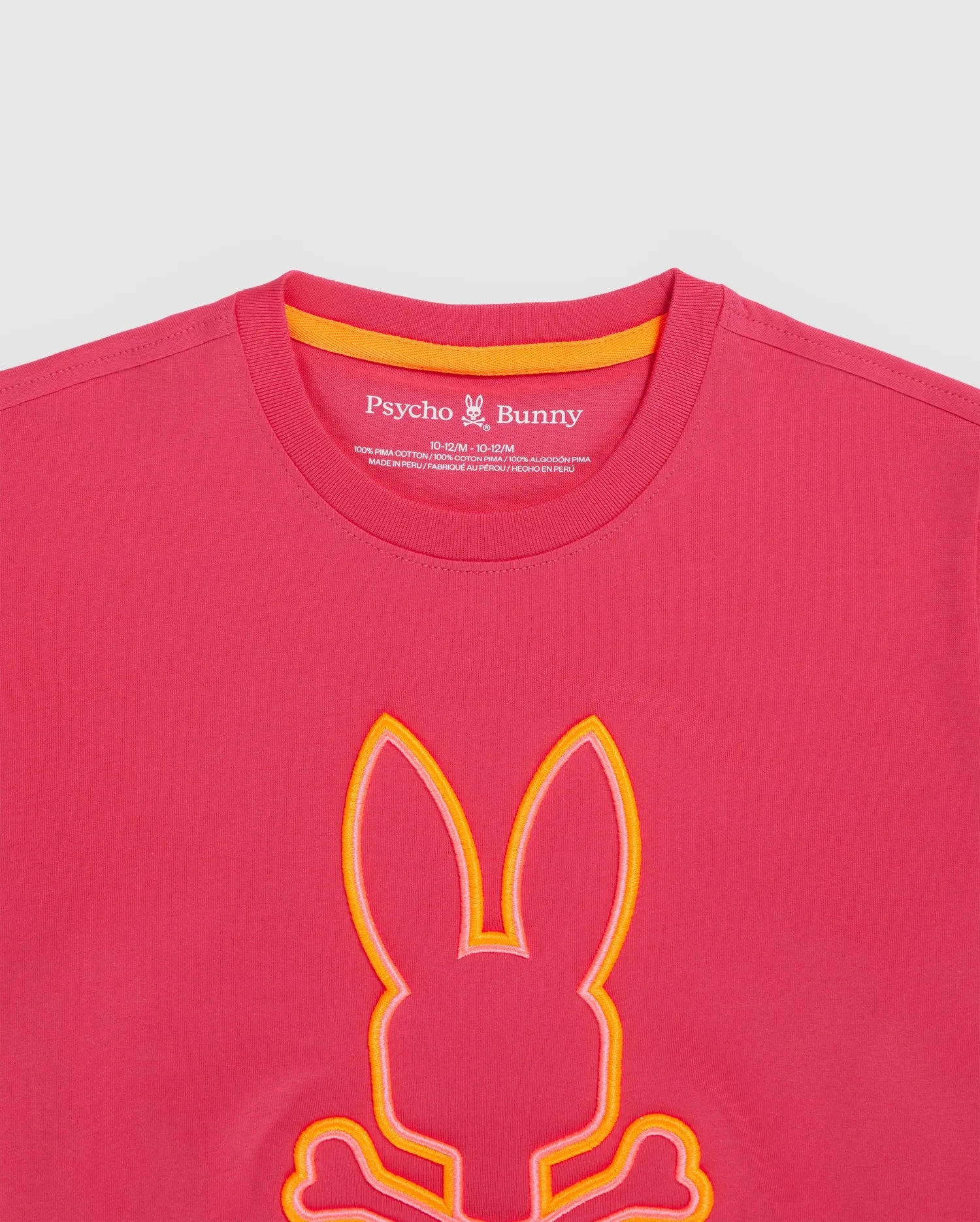 KIDS SANTA MONICA EMBROIDERED GRAPHIC TEE - B0U842A2PC